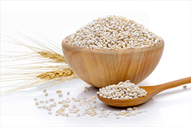 Barley-Grain